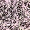 Sleepwalking 3 - Abstract Expressionism by Estelle Asmodelle