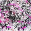 My Pink Universe - Abstract Expressionism by Estelle Asmodelle