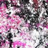 My Pink Universe 7 - Abstract Expressionism by Estelle Asmodelle