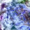 Akarui Funaki - Light atmosphere LED LIGHT ART by Estelle Asmodelle 5